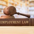 Navigating the Complexities of Employment Law: A Comprehensive Guide