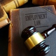 Mastering Employment Law: A Guide for Employers