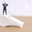 What is the Whistleblower Protection Act?