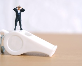 What is the Whistleblower Protection Act?