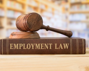 legal misconduct employment law