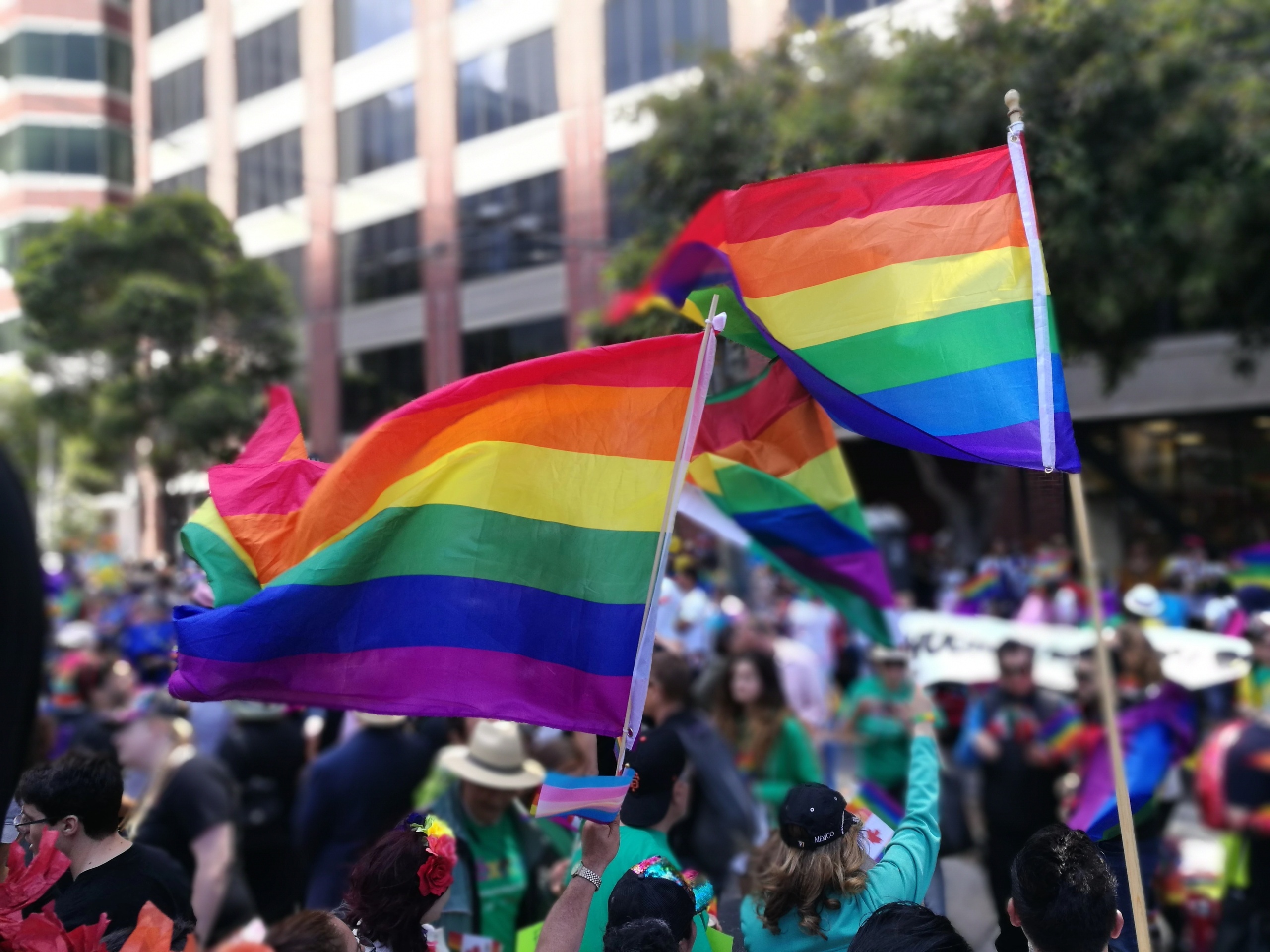 LGBTQ workplace discrimination, LGBTQ employment law