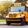 School Bus Accident in New Jersey: Who Is Liable and What Families Should Do Next